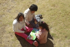 COMP-DSC08706